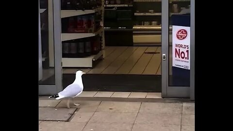 DORITOS ￼