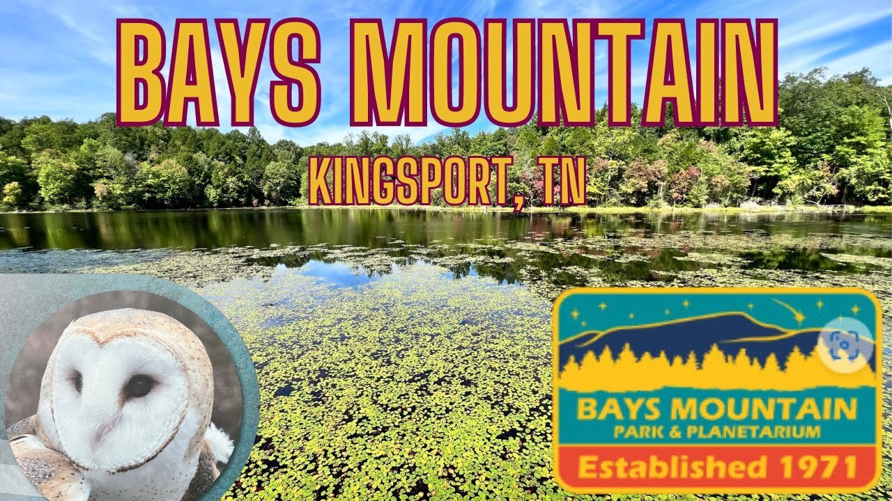 Views, Trails, Turtles, Wolves, Owls and more at Bays Mountain in Kingsport Tennessee!