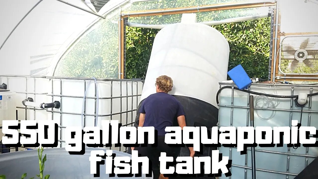 Aquaponic system Renovation part 16- 550 GALLON AQUAPOINC TANK (adding the giant tank I got)