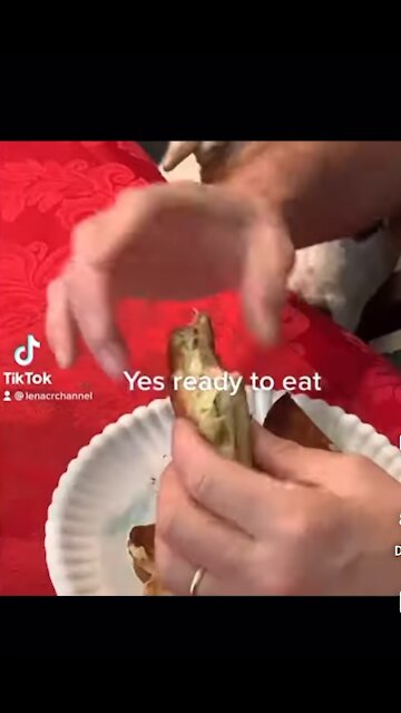 Watch my dog reaction when I’m done eating!