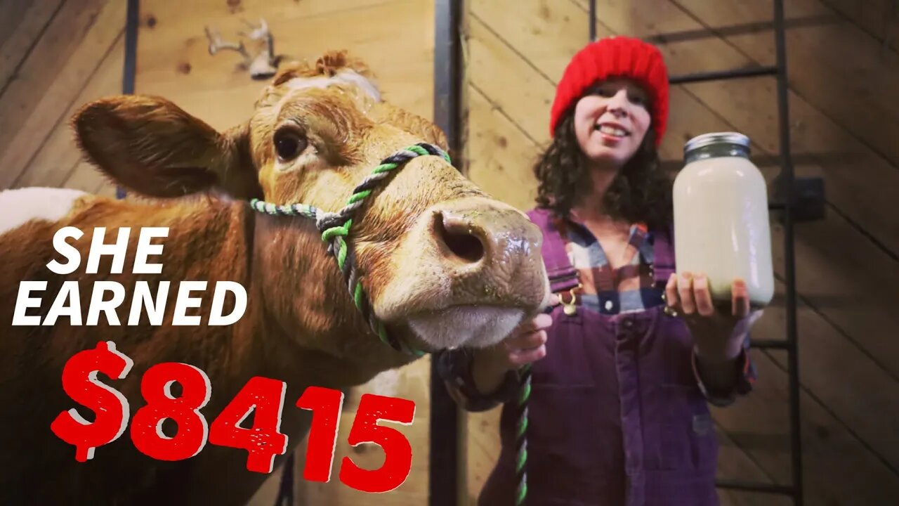 How To Make Your Milk Cow (way more) PROFITABLE!!!