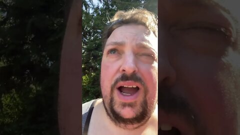 No Vet Will See My Dog For His Hematoma