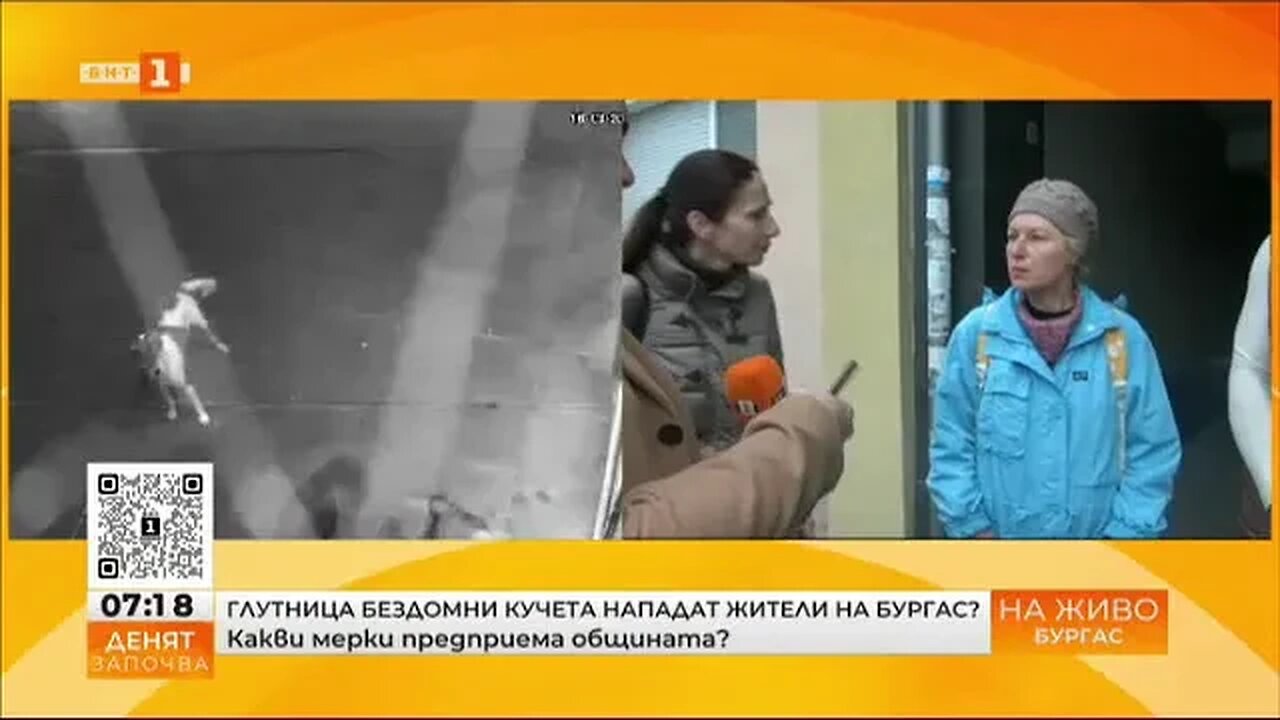 Глутница бездомни кучета притеснява жители на Бургас