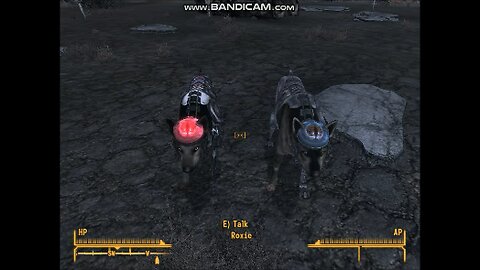 Cyberdog Companions!