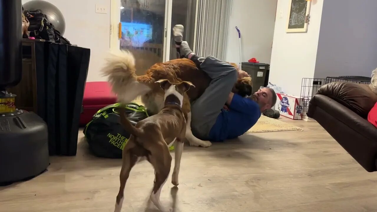 Drunk Uncle wanted to try his Jiu Jitsu moves on Donnie.