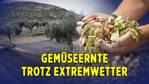 Spanische Landwirte erfolgreich auf natürlichem Weg zur Nachhaltigkeit