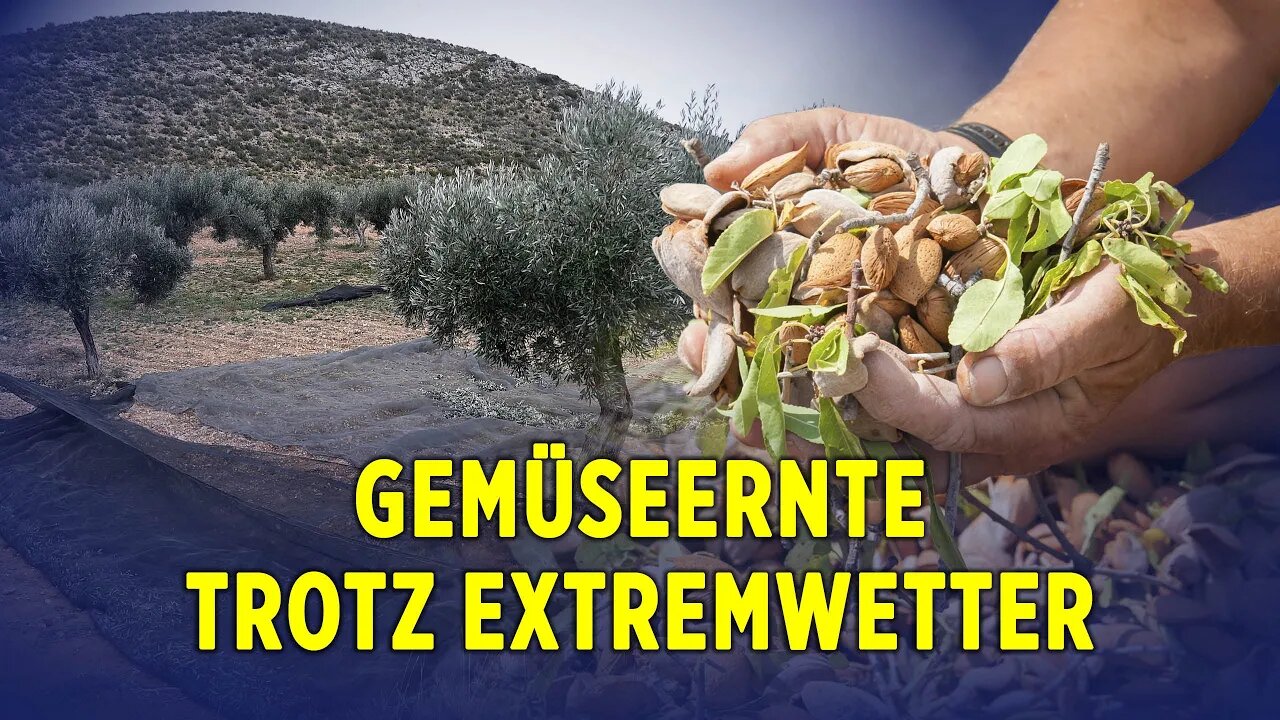 Spanische Landwirte erfolgreich auf natürlichem Weg zur Nachhaltigkeit