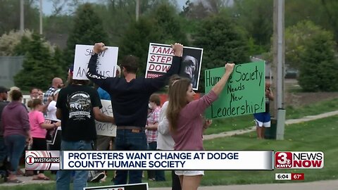 Fremonters protest Dodge County Humane Society