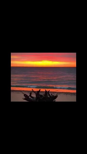 The Morning Light #water #bewatermyfriend #wouldyourather #nature