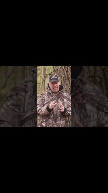 Knowing when to call in your next trophy buck #shorts #deer #deerhunting