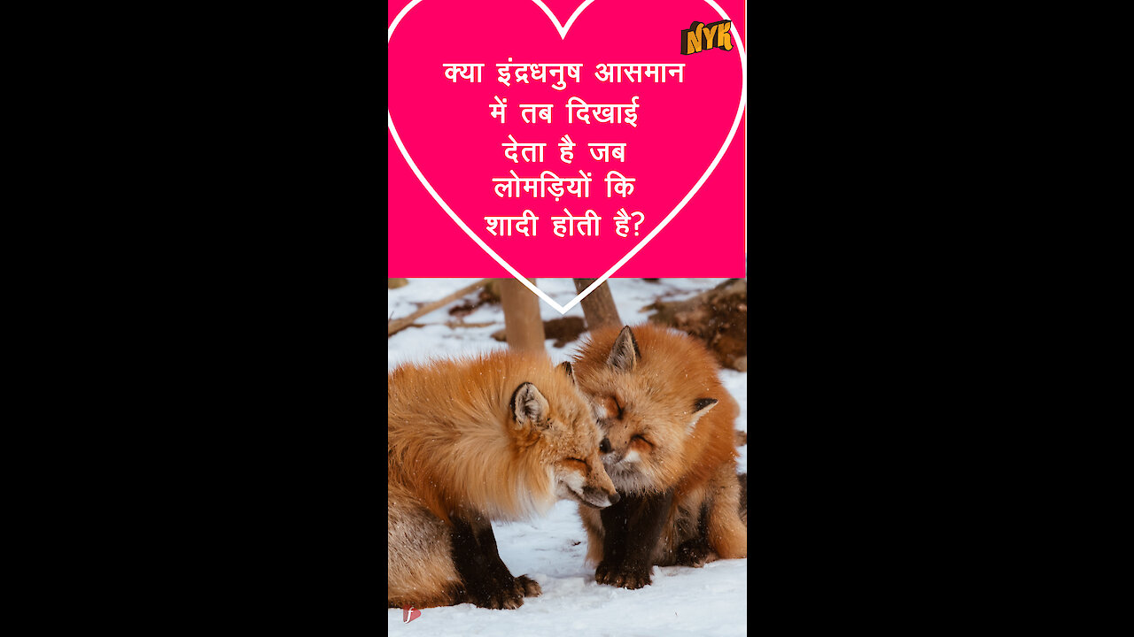 क्या इंद्रधनुष आसमान मे तब दिखाई देता है जब लोमड़ यो कि शादी होती है? *