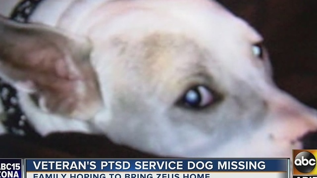 Peoria family frantically searching for soldier's PTSD dog