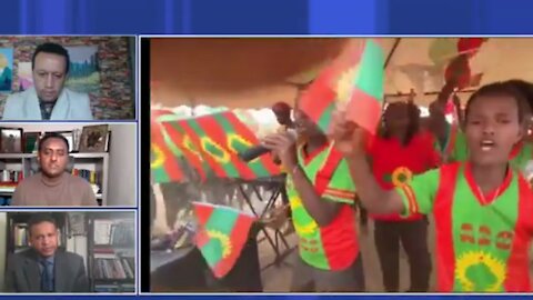 የአብይ አህመድ መንግስት ጫካ የተቀመጡትን የአራጁን እና አሸባሪው ኦነግ ሸኔን ቡድኖች ከምን አደረሳቸው? - ሀብታሙ አያሌው