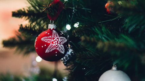 Boyd Gaming accepting entries for Trees of Hope