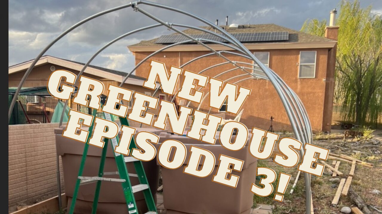 New Greenhouse Build: Episode 3