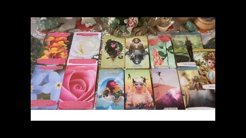 Ophiuchus ⛎ “Sly As A Fox!” April Tarot, Flower, Love and Aura Reading from Sedona. 💐👼🏼🔮