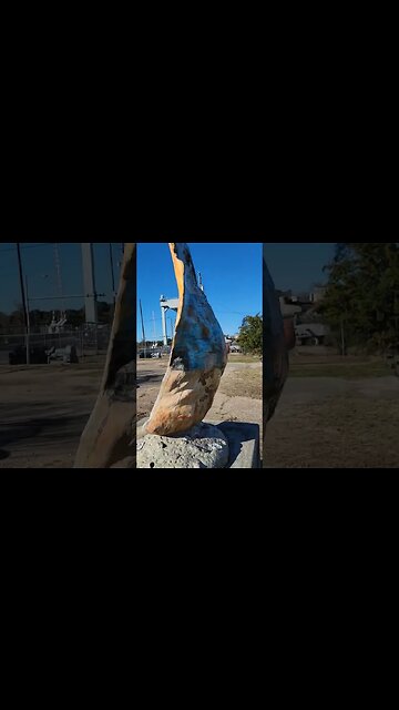 Shucks, that's one big oyster shell! #huge #worldslargest