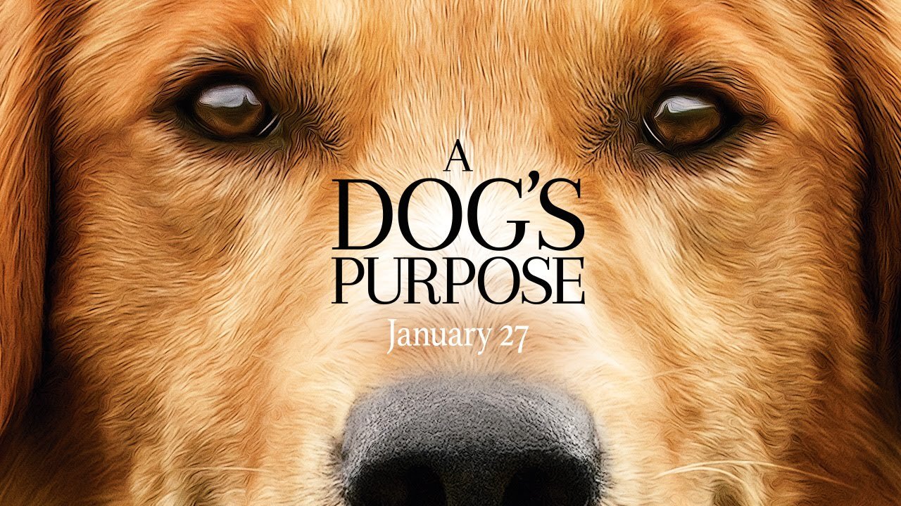 A Dog's Purpose - Official Trailer (HD) - Universal Pictures