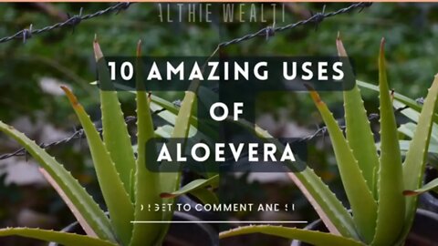 10 Amazing Uses of Aloe vera || Healthie Wealthie