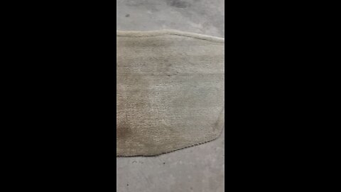 Get Those Floormats Clean #detailing #extractor #asmr #mytee