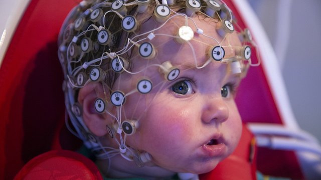Think You're Smart? See What The Experts Say