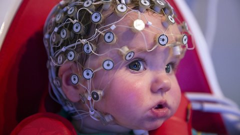 Think You're Smart? See What The Experts Say