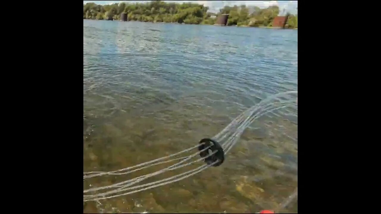 catching a lot of shad