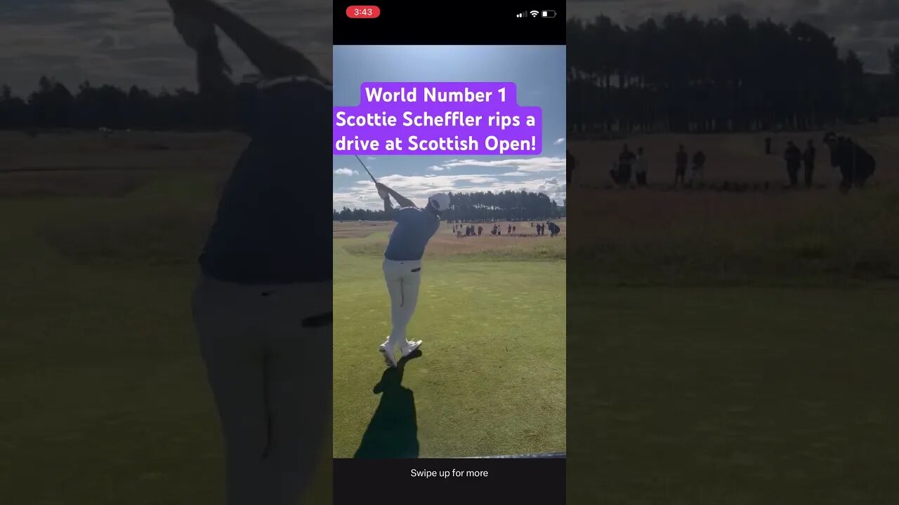 World Number 1 Scottie Scheffler rips a drive! #golf #scottiescheffler #tomgillisgolf