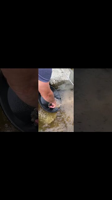 Can we find gold in front of a road sign?