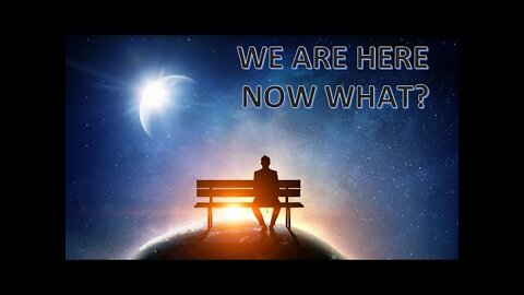 Transition Shock (Here We Are Now What) Jason Lios