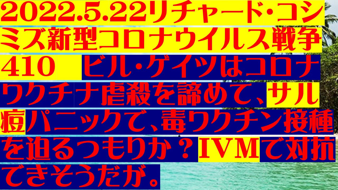 2022.05.22 リチャード・コシミズ新型コロナウイルス戦争410