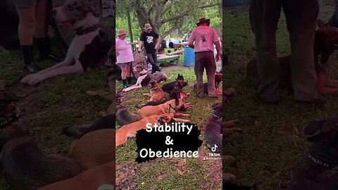 Stability and Obedience drills