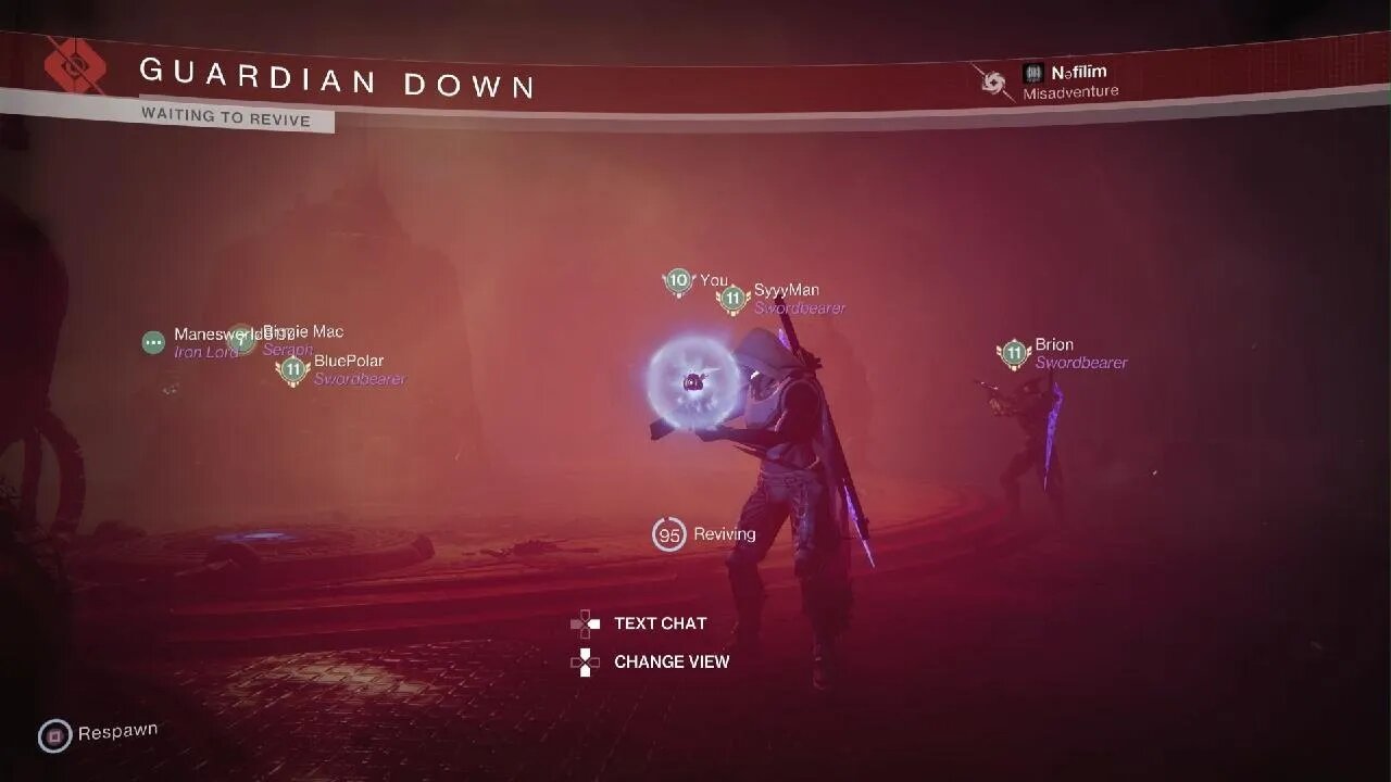 Destiny 2 Using Strand in DSC will never get old