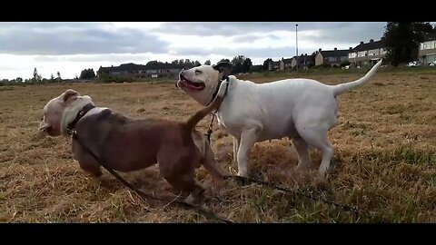 Famke en Winnie in Sneek