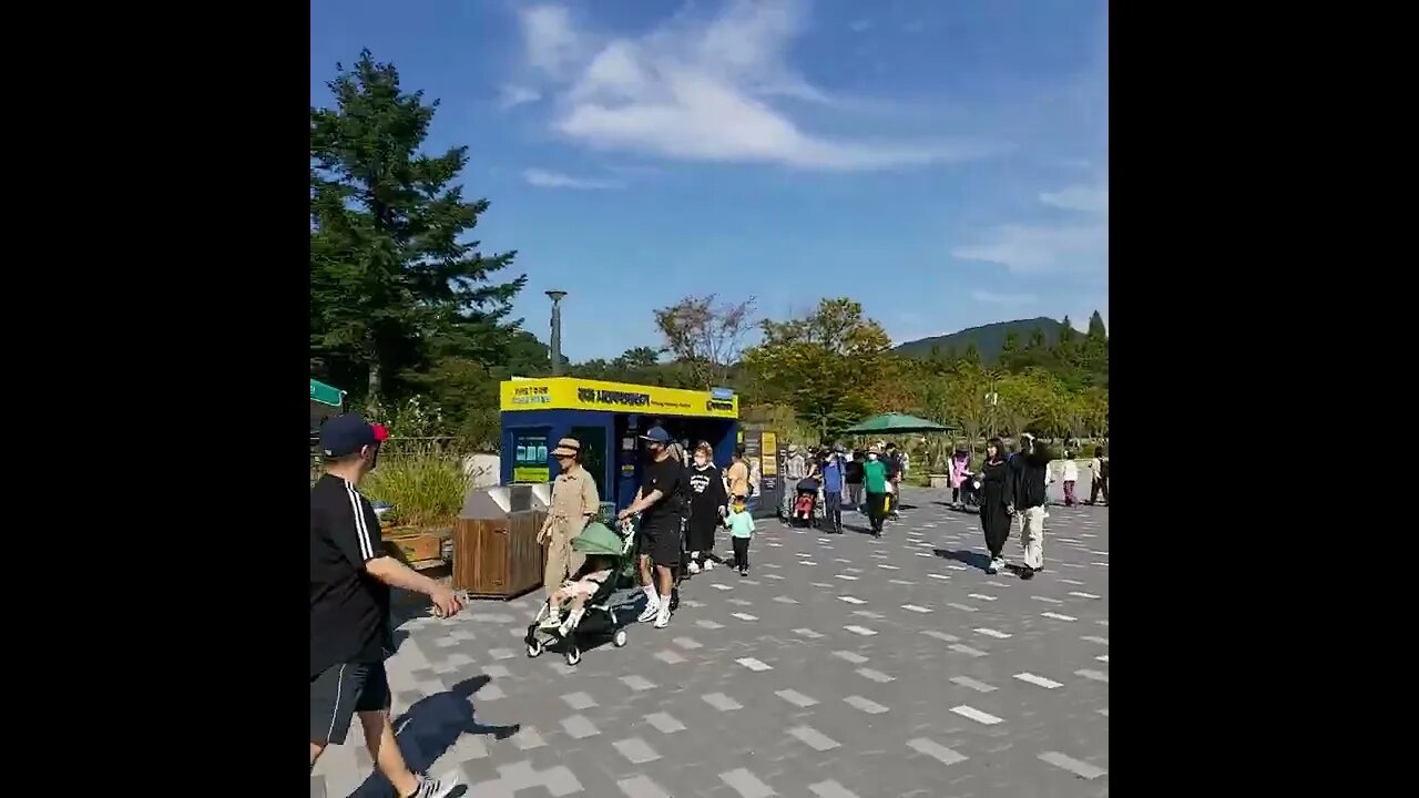 Grand Korean Zoo #zoo #shorts #shortsfeed #fyp #animals