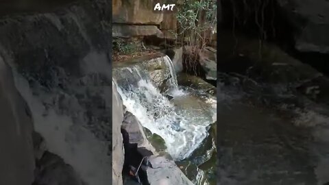 Hathon Ki lakiron Mein Likha Hai WhatsApp status nature beauty fall amt Safar status