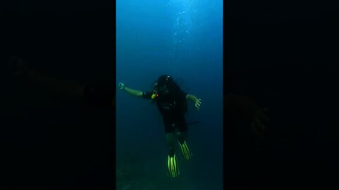 Neeraj Chopra Mimics Throwing Javelin Under Water While On A Scuba Dive In Maldives