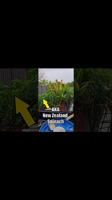 This System Has To GO!!