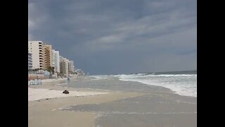 Ormond Beach 🏖 Florida shore, standing on the shore