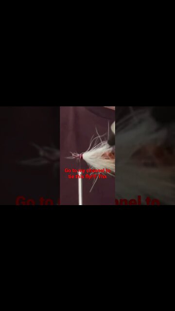 #flyfishing #fishing #flytying #shorts #fish #trout #bass #bassfishing #catchandrelease #fishinglife