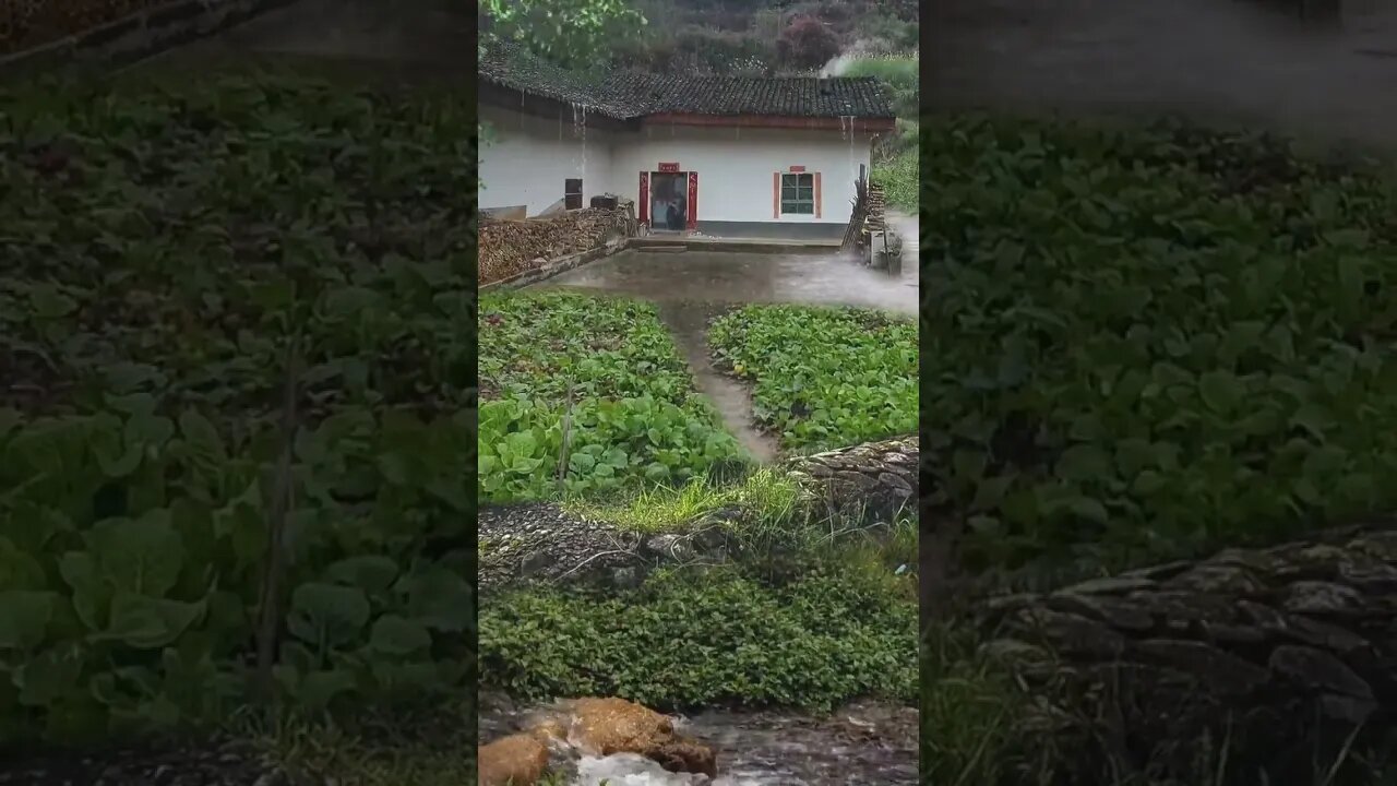 Todays weather|| Nature lover || monsoon ||rain