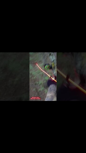 How to feed your family! From the woods to the dinner plate.