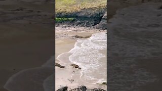 Watching The Waves Come In tiktok elisetanriverdi