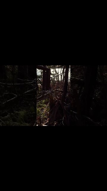 Beautiful Spring Day in Canada 🇨🇦