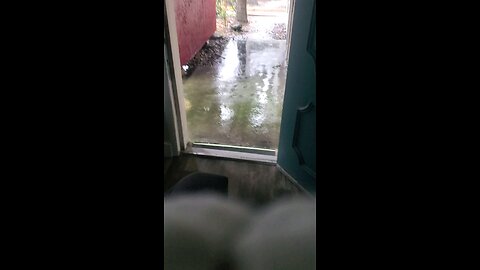 It's always rain in Florida