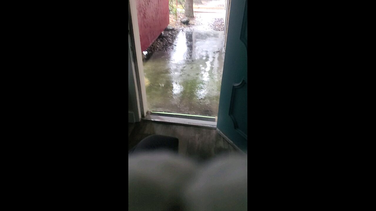 It's always rain in Florida