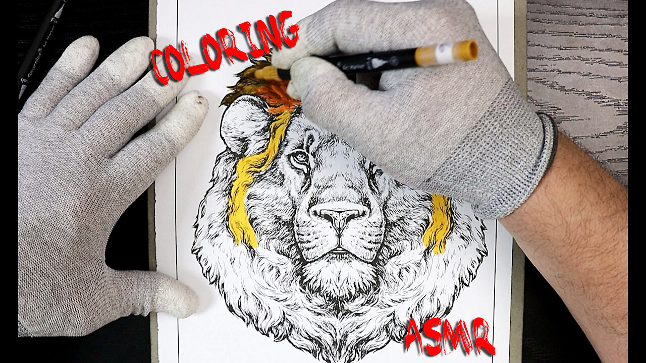 ASMR Coloring - The King Of The Jungle