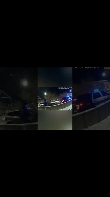 Bonehead Driver Rear Ends #Cops Car #shorts