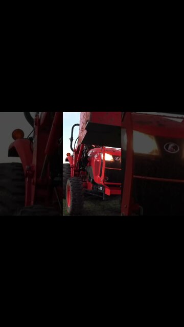 What MEN dream of...