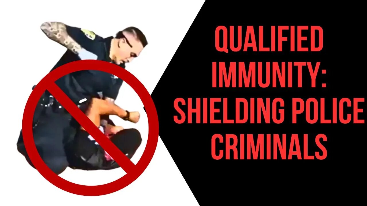 "Warning: Your Life at Risk. End Police Immunity to Stop Killer Cops Now!"